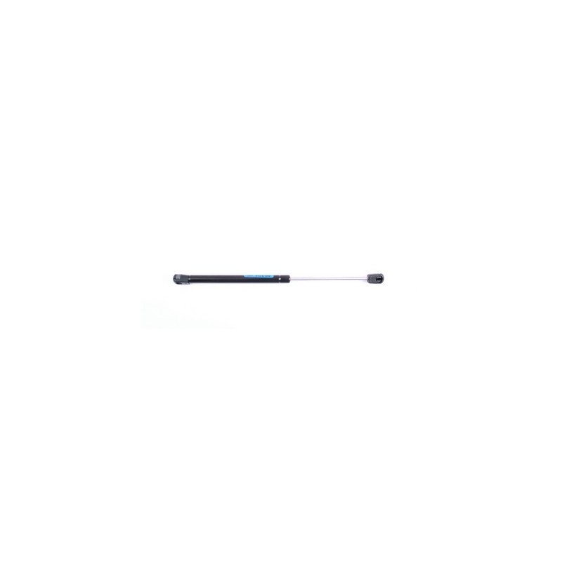 Ammortizzatore cofano WK 05-10