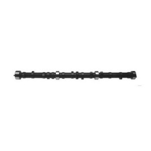 Albero a cammes motore 4.2L CJ/YJ 79-90