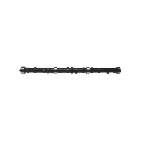 Albero a cammes motore 4.2L CJ/YJ 79-90