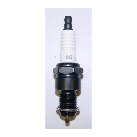 Candela per motori 5.0 V8