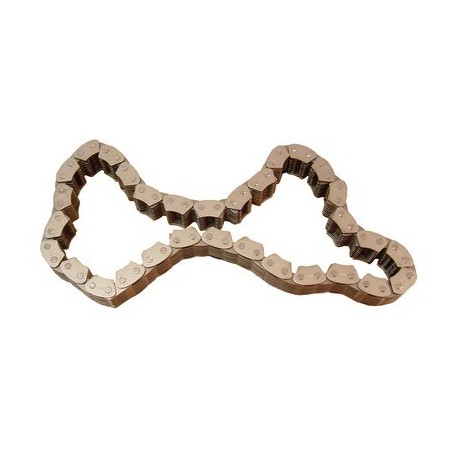 Catena riduttore NP 231 YJ/TJ/XJ/MJ/ZJ 87-06