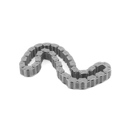 Catena riduttore NP231 YJ/TJ/XJ/ZJ 84-06