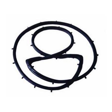 Guarnizione hardtop portello superiore CJ 76-86