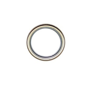 Paraolio interno mozzo con disco CJ 76-86