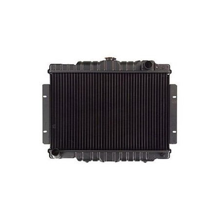 Radiatore 2 elementi radianti 6/8 cil. CJ 74-80
