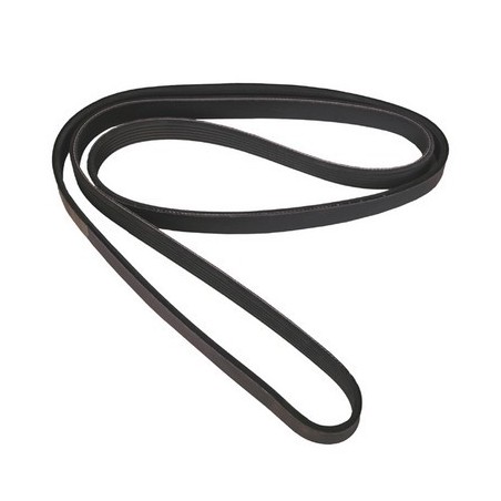 Cinghia piatta 4