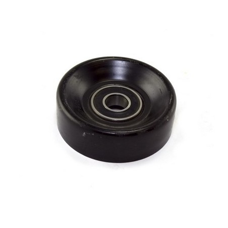 Puleggia 2.5/4.0L YJ/TJ/XJ/ZJ 91-96