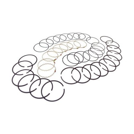 Set fasce pistone .030 5.9 CJ 71-75