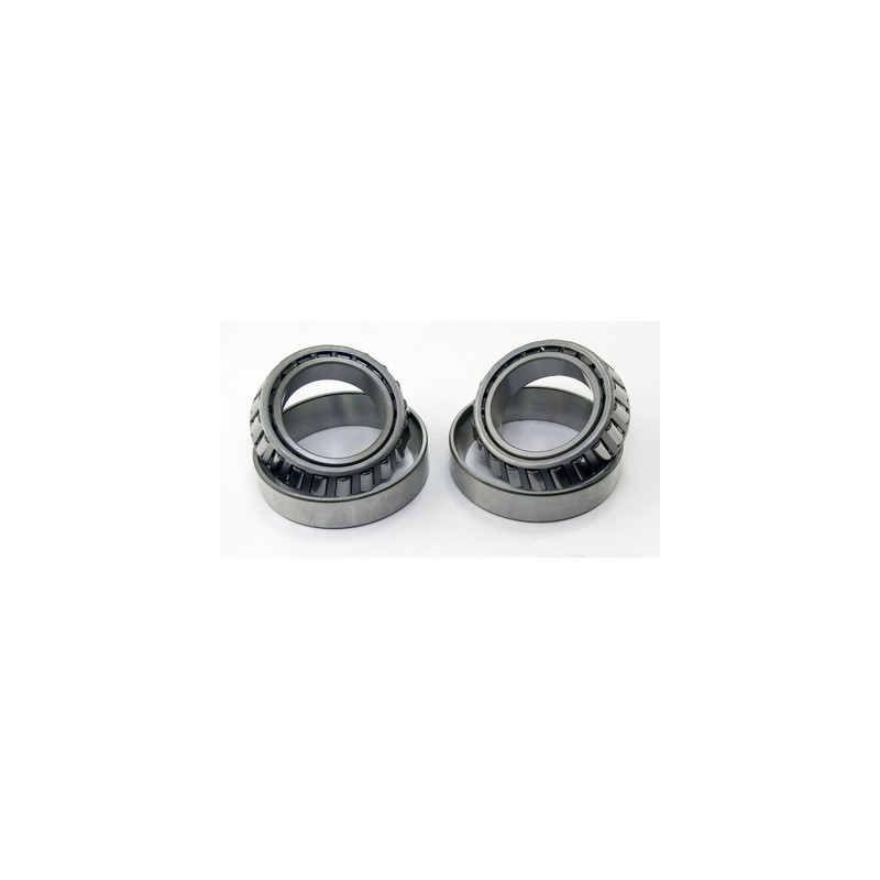 Cuscinetti differenziale ponte AMC20