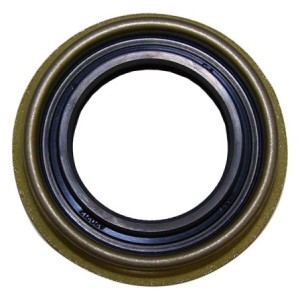 Paraolio pignone ponte Ch 8