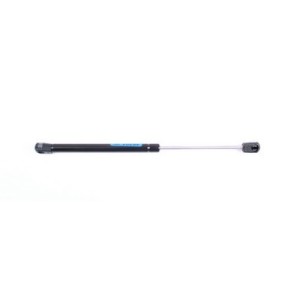 Ammortizzatore cofano WK 05-10