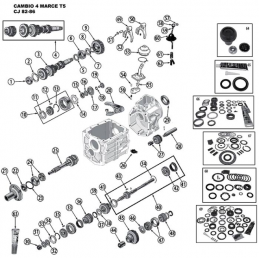 Cambio T5 CJ
