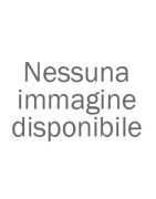 Riduttore NP231